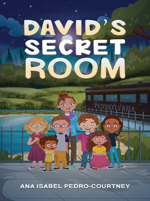 cover image of David's Secret Room
